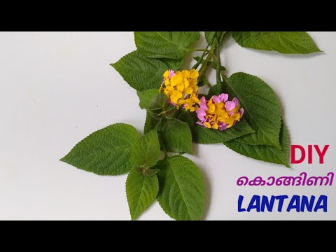 crepe paper flower/how to make Lantana flower/അരിപ്പൂവ് ഉണ്ടാക്കാം /d craft cut/diy lantana
