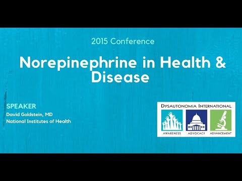 Norepinephrine in Health & Disease - Dr. David Goldstein