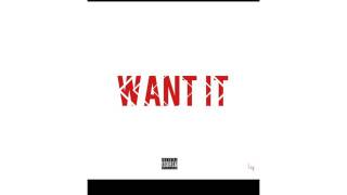 Want It Music Video