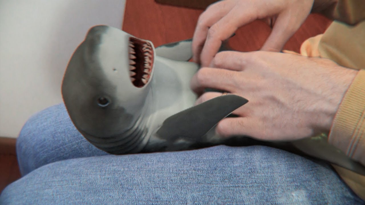 Watch video Surprised Baby Shark Now Surprised Baby Shark