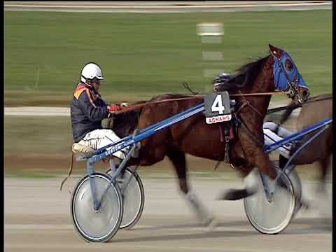 Trotto 25/01/2019 - 2ª corsa