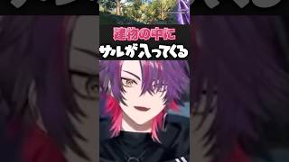 【ひばなつ】自分だけの秘密基地や少年時代について語る渡会雲雀【にじさんじ/渡会雲雀】 #にじさんじ #渡会雲雀 #切り抜き