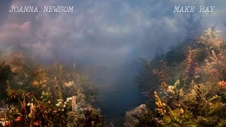 Video Make Hay (Letra) de Joanna Newsom