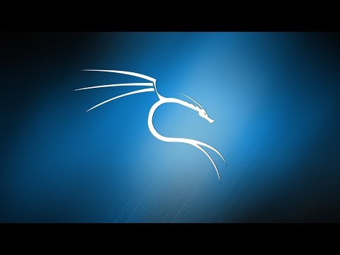 Kali Linux Setup auf Win10 als Subsystem mit x410 Tutorial #02