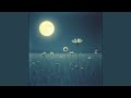 Enchanted Summer Night