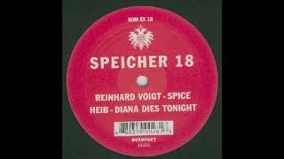 Reinhard Voigt - Spice (Techno 2004)