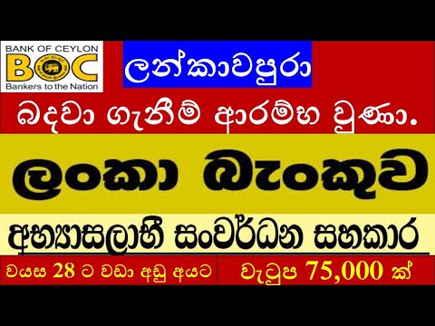 ලන්කා බැන්කුවේ 2025 බදවා ගැනිම් ආරම්භ වුණා : BOC Job Vacancies 2025p