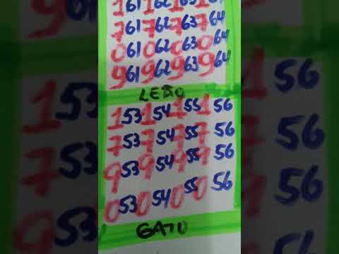Como GANHAR no Bicho com número chave!!! Palpite dia 30/10/2020.