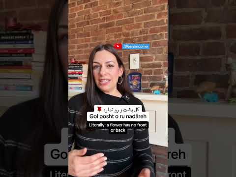 Beautiful Persian Farsi phrases with no English equivalent, day 4 🌹 #farsi #persian