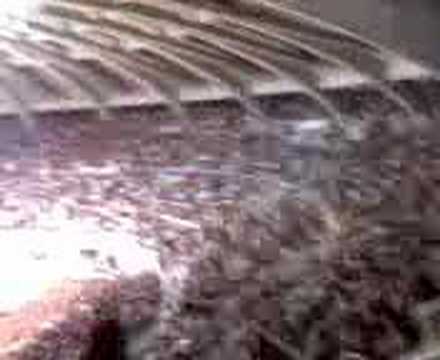 Fla X Regatas - FInal da sulamericana de basquete