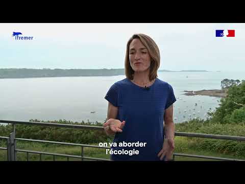 Que sont les récifs tempérés ?