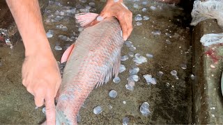 Expert Rohu Fish Cutting in Market
