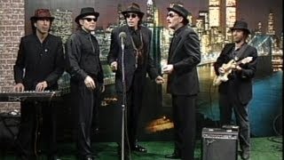 #Tommy Petillo_Part 2_#Kenny Vance THE PLANOTONES_1993_Jersey Spotlight