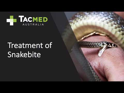 Treatment of Australian Snakebite