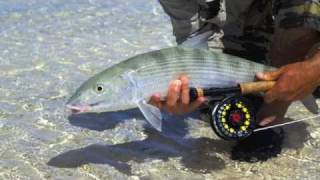 preview picture of video 'Private Fly Fishing Charter Boat in the Bahamas'
