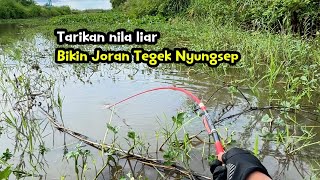 Download lagu Tarikan nila luar bikin joran tegek nyungsep!! mp3