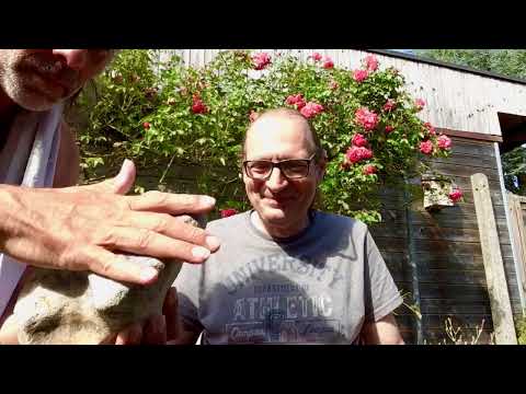 Mit Tieren sprechen - Ansgar Hüttenmüller feat. Pitti Hecht_Handpan & Percussion