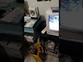 Closing To Stealing Home