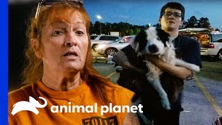 A Miracle Dog Rescue During Terrible Floods In Louisiana | Pit Bulls &amp; Parolees