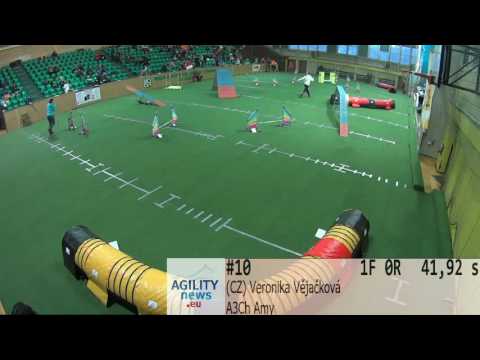 Silesian Open 2017 : Agility S-M