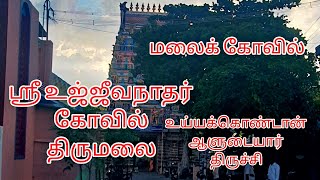 Temple video