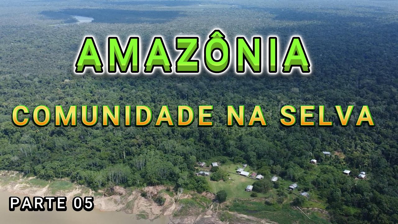 S/FRANCISCO DA MANGUEIRA COMMUNITY - AMAZONAS - VIDEO - 05