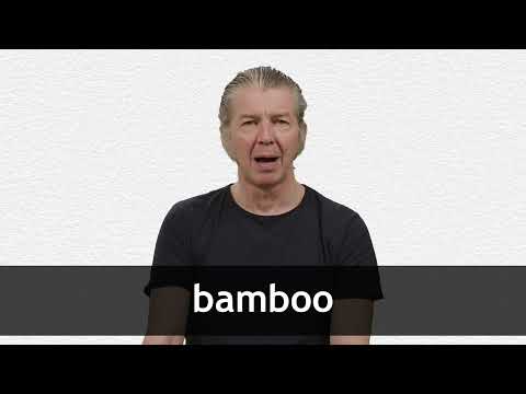 BAMBOO definition in American English | Collins English Dictionary