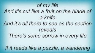 Sting - The Book Of My Life Lyrics