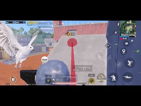 PAIN TODAY, PRIDE TOMORROW !