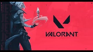 SLIMy VALORANT部門