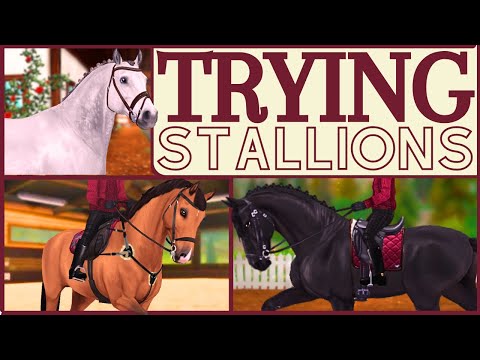 HORSE SHOPPING FOR MY DREAM STALLION ~ Star Stable Realistic Roleplay