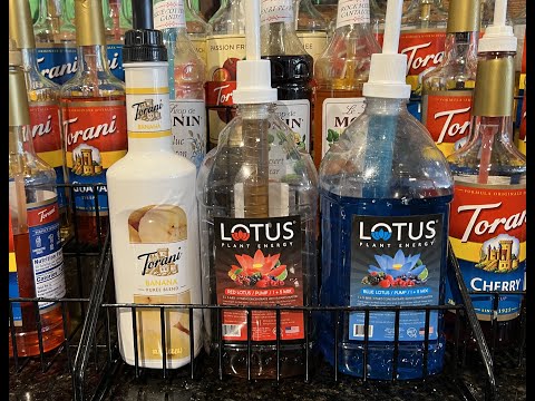 How To Make a Lotus Energy Drink