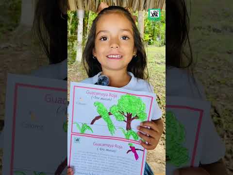 El Sayaxché, Petén el CONAP trabaja por una Guatemala Megadiversa, Educación Ambiental