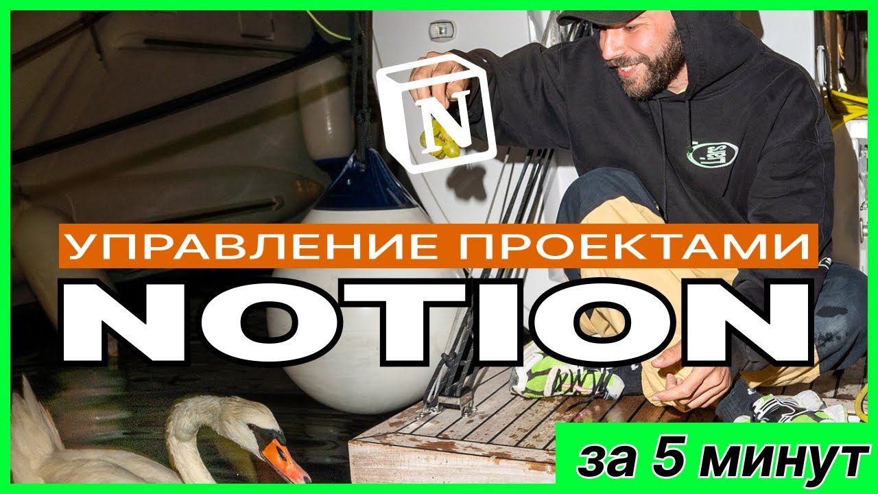 Управление проектами в Notion за 5 минут. Советы и опыт