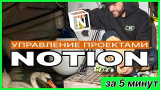 Управление проектами в Notion за 5 минут. Советы и опыт
