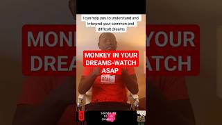 MONKEY IN YOUR DREAMS-WATCH#dreams#horoscope#monkeys#dreaminterpretations#dreamtarot#baddreams#fyi