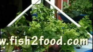 Download the video "Fish2Food AquaponicsVirtual Tour 2.mp4"