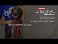 Видео о товаре Chest Plate, шлейка для собак / EzyDog (Австралия)