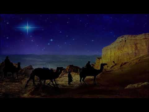 Lenuta Muresan Intr-o cetate in Galileea.