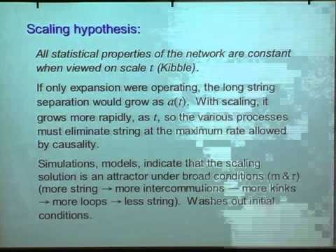 Joseph Polchinski - The Cosmic String Inverse Problem