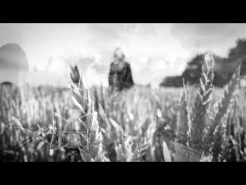 Christophe Héraut - Dans la foule - (Clip officiel)