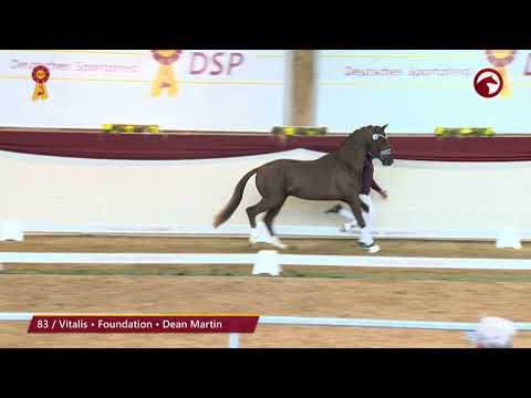 KN 83 von Vitalis / Foundation