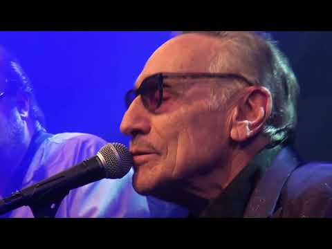 Rick Estrin & The Nightcats - "Callin' all Fools" @ Moulin Blues Ospel 2023