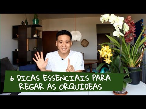 , title : '6 Dicas para regar as orquídeas'