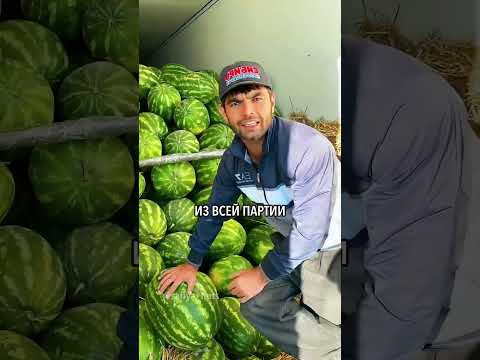 Таджикские Арбузы