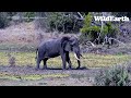 Fun At The Waterhole With Tayla