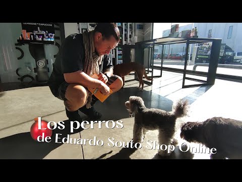 Los Perros de Eduardo Souto Shop Online