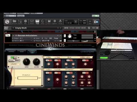 Cinesamples CineWinds Bundle v1.1