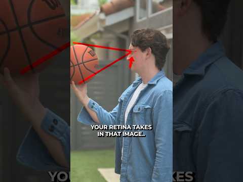 How Fast Are Human Eyes? 👀