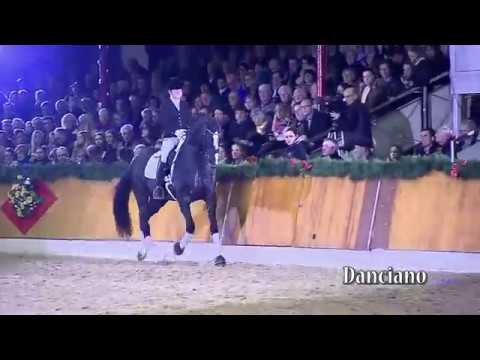 Danciano  (Dancier x Rotspon x wolkenstein II)